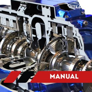 Manual
