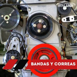 Bandas y Correas