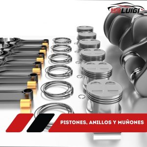 Pistones, Anillos y Muñones