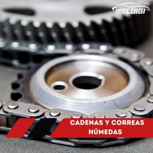 Cadenas y Correas Húmedas