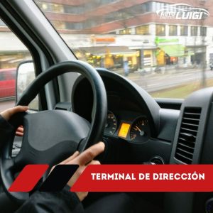Terminal de Dirección